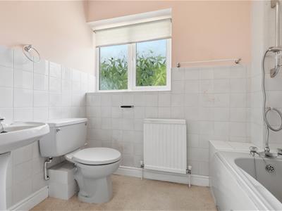 Picture 31